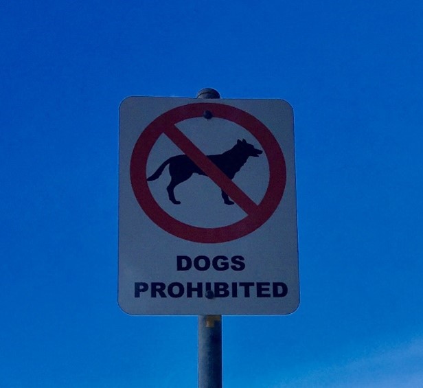 Dogs prohibited sign